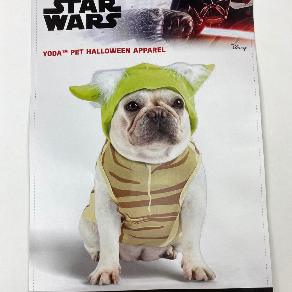 Today Pet Halloween Apparel Hooded Shirt